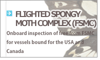 FLIGHTED SPONGY MOTHCOMPLEX (FSMC)